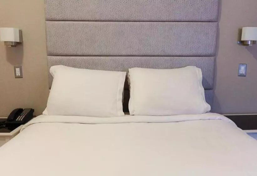 Fotos del hotel Da Vinci:  25