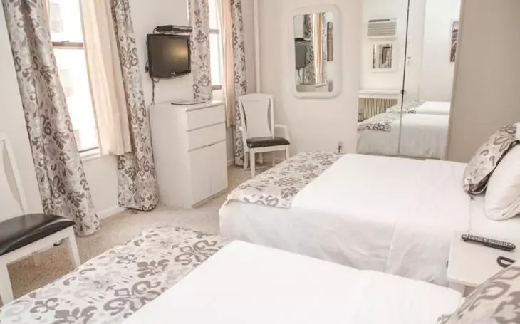 Fotos del hotel Da Vinci:  8