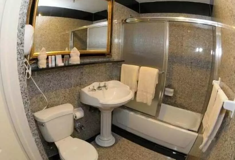 Fotos del hotel Da Vinci:  5
