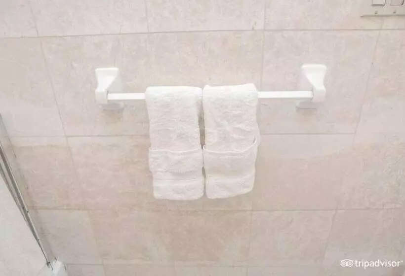 Fotos del hotel Da Vinci:  16