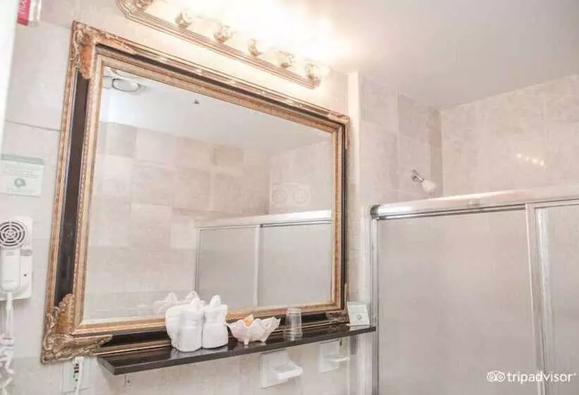Fotos del hotel Da Vinci:  11