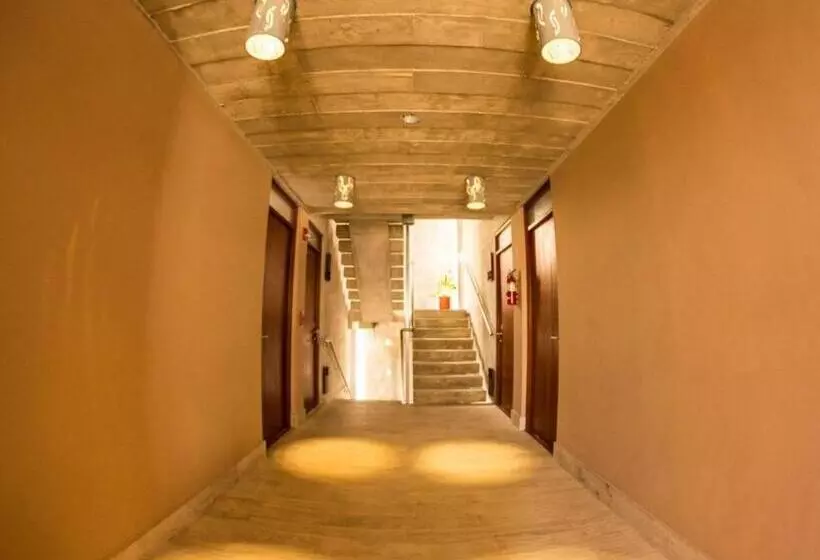 Fotos del hotel Dream Inn Pr:  3