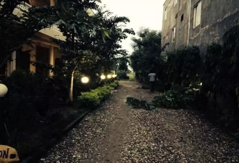 Jungle Vista