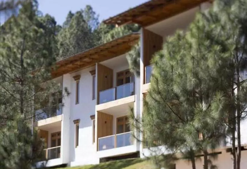 Fotos del hotel Dhensa Boutique Resort:  18