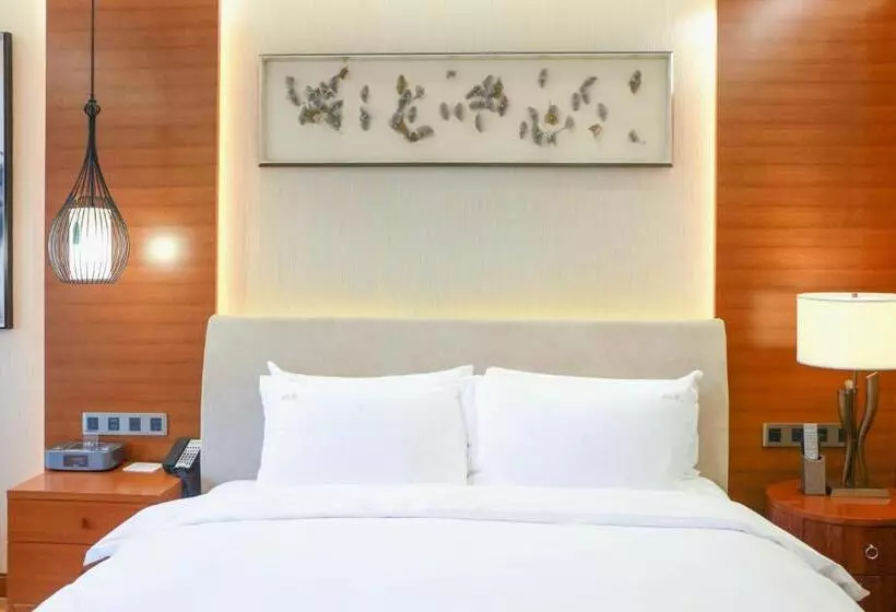 Fotos del hotel Holiday Inn Nanjing Xuanwu Lake, An Ihg:  13