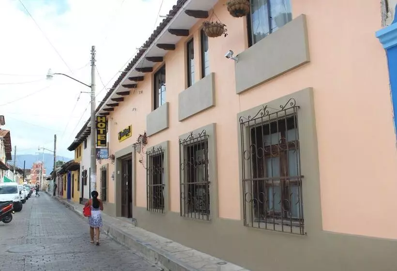 Fotos del hotel San Miguel:  17