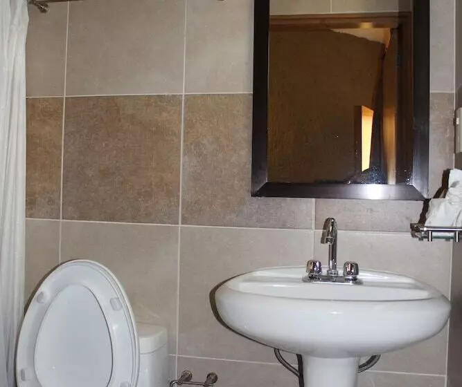 Fotos del hotel San Miguel:  8