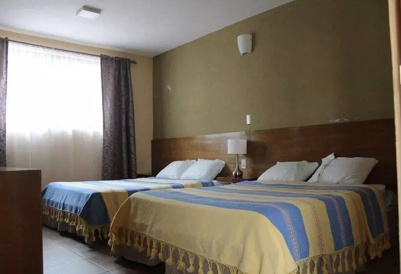 Fotos del hotel San Miguel:  15