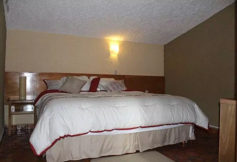 Fotos del hotel San Miguel:  18