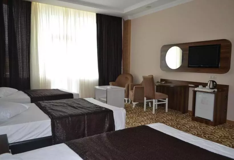Fotos del hotel Grand Georgian Palace:  3