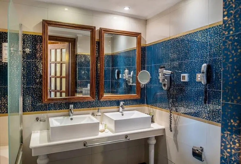 Fotos del hotel Palazetto Suites:  13