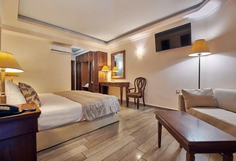 Fotos del hotel Palazetto Suites:  9