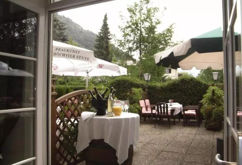 Fotos del hotel Zum Toni:  4