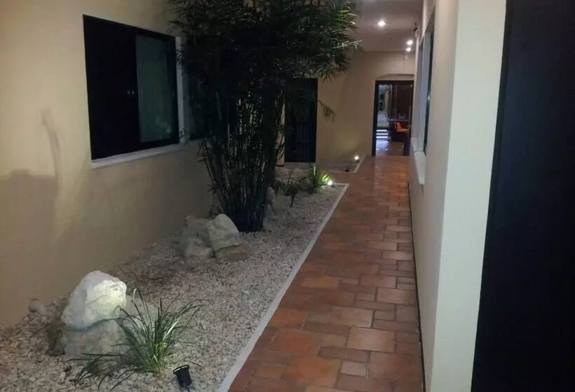 Fotos del hotel Catedral Campeche:  8