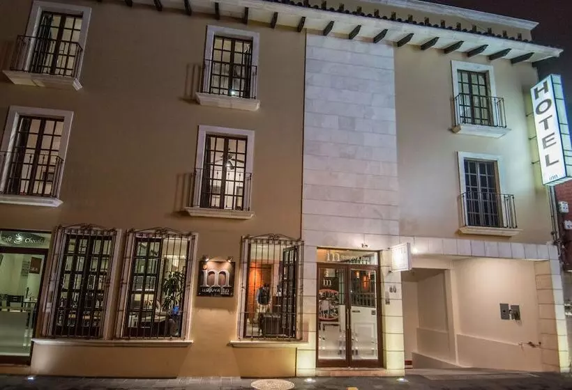 Fotos del hotel Majova Inn Xalapa:  15