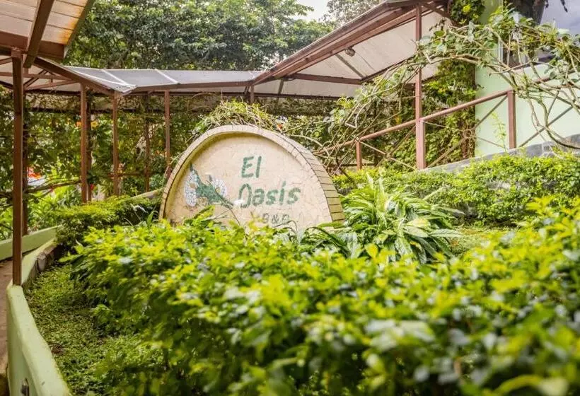 Fotos del hotel El Oasis Hotel Y Restaurante:  6