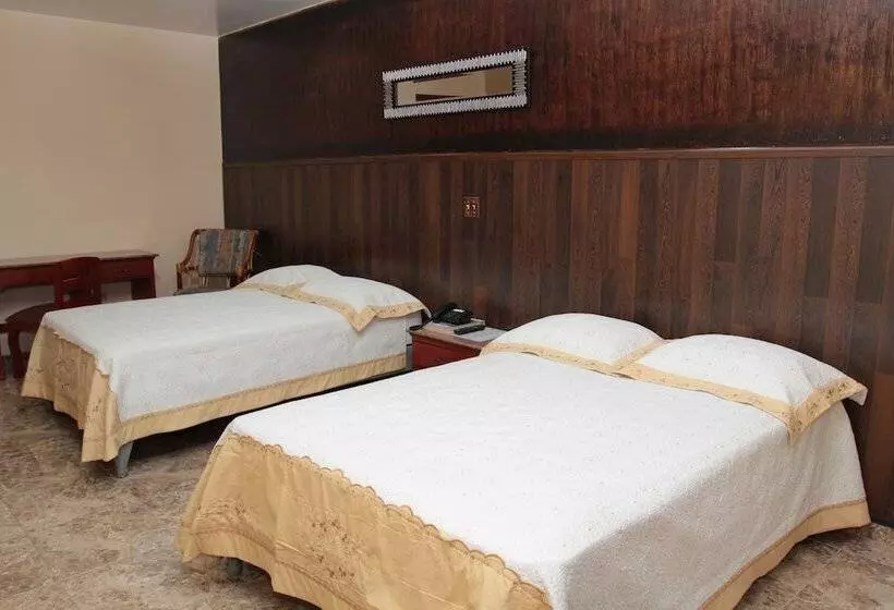Fotos del hotel Alcala:  16