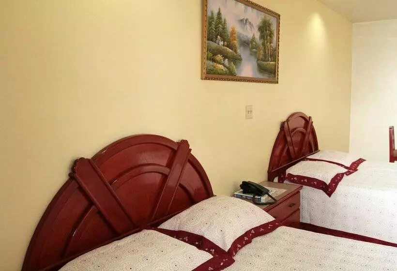 Fotos del hotel Alcala:  22