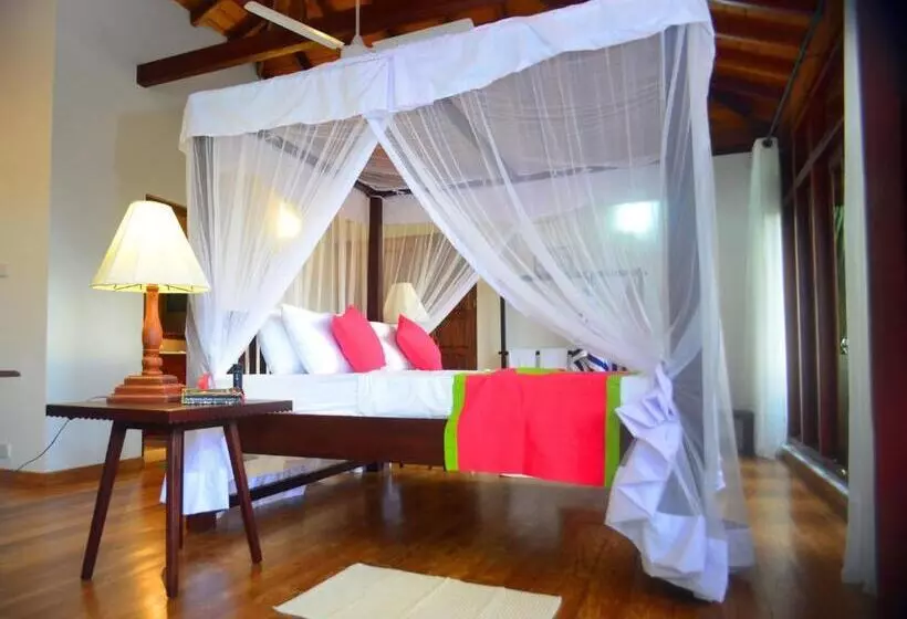 Fotos del hotel Tropical Retreat:  16