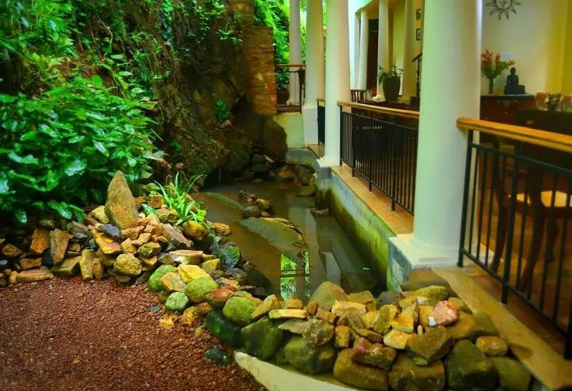 Fotos del hotel Tropical Retreat:  7