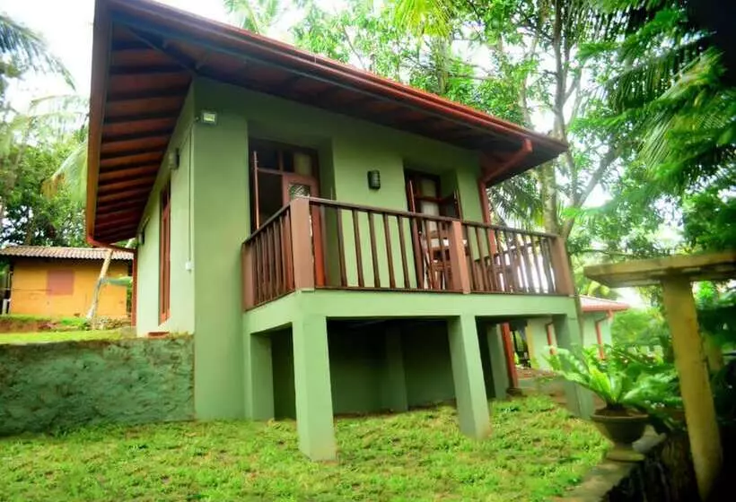 Fotos del hotel Tropical Retreat:  12