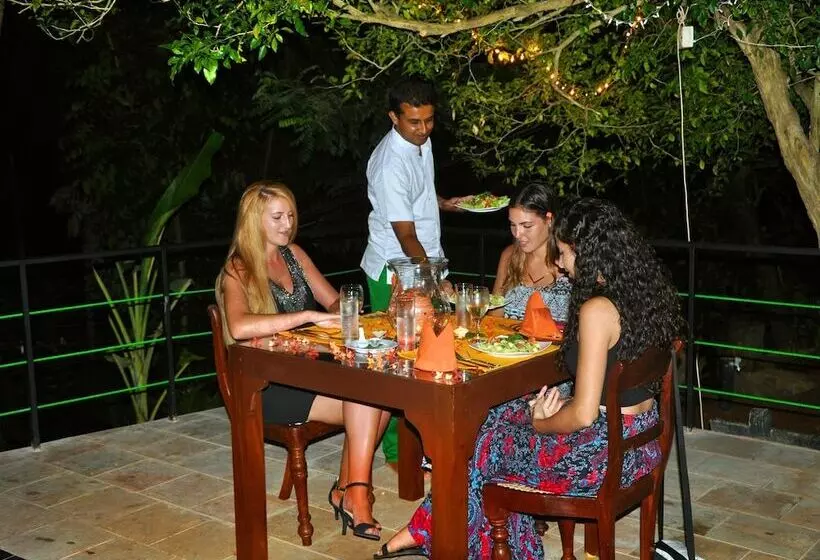 Fotos del hotel Tropical Retreat:  20
