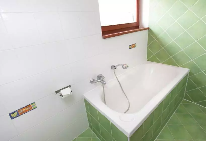 Fotos del hotel Panska Licha:  4