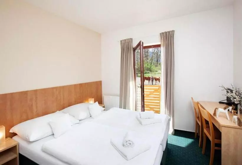 Fotos del hotel Panska Licha:  21