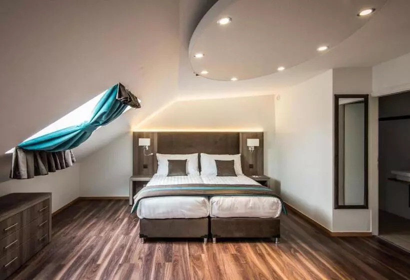 Fotos del hotel Rousseau:  20