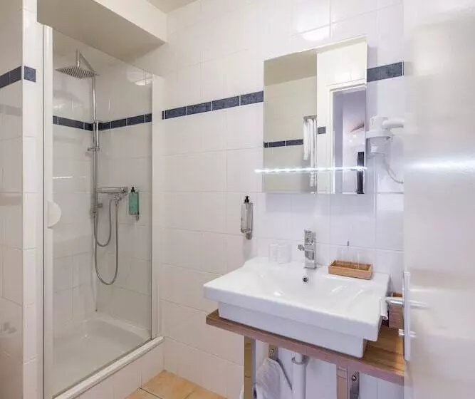 Fotos del hotel Rousseau:  17