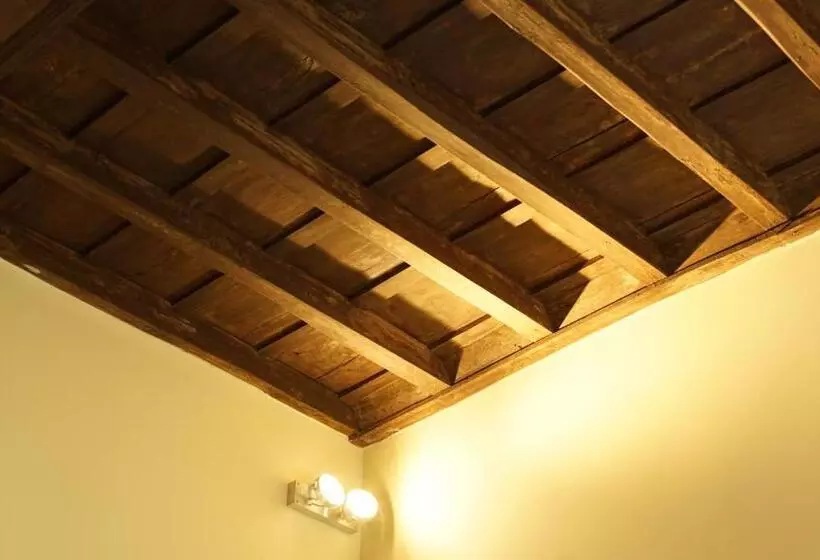 Fotos del hotel Domus Corsini:  18