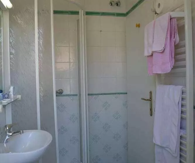 Fotos del hotel Villa Rosa:  10
