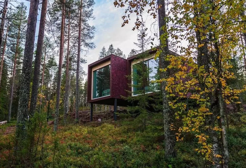 Fotos del hotel Arctic Treehouse:  22