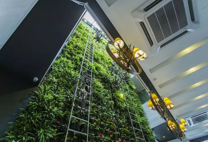 Fotos del hotel Midori Concept:  6