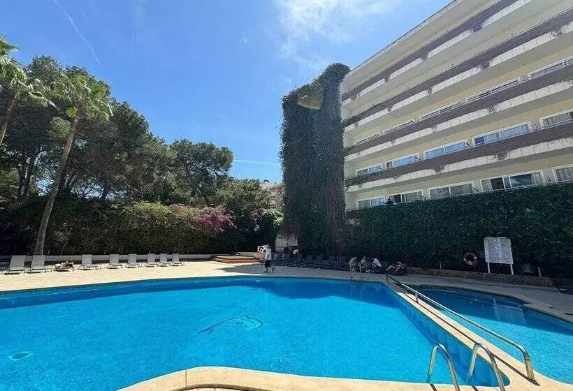 Fotos del hotel Ipanema Park:  7