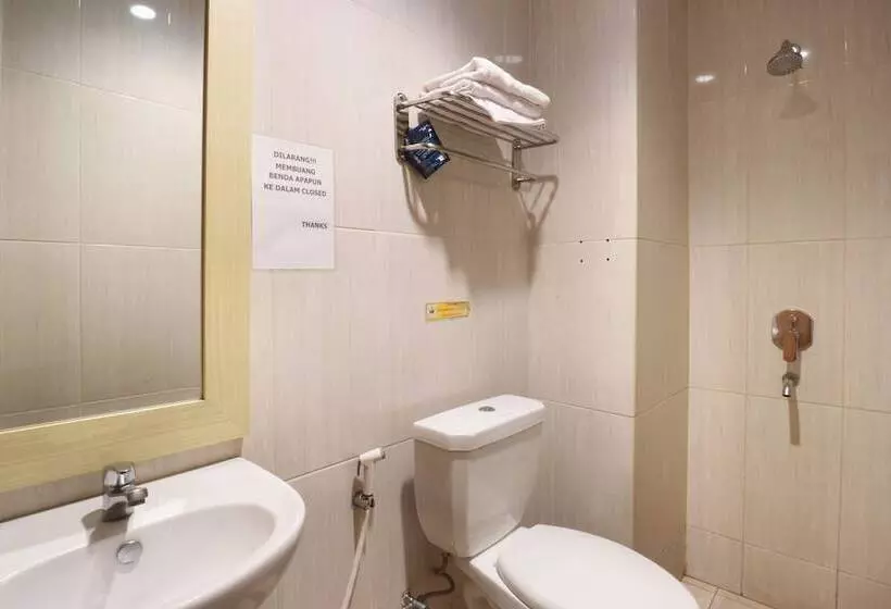 Fotos del hotel Raja Residence:  25