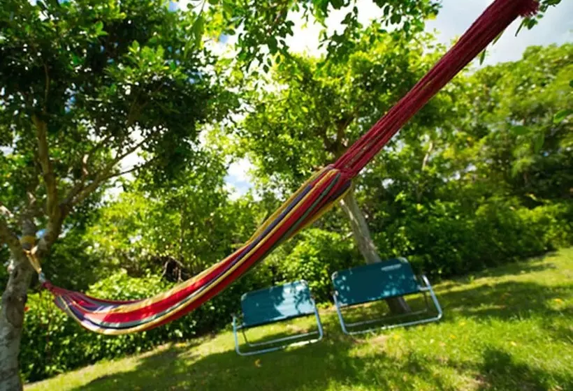 Fotos del hotel Sun Green Grass Ishigaki:  3