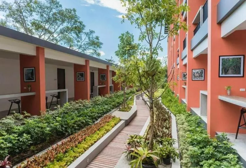 Fotos del hotel Pimdara:  24