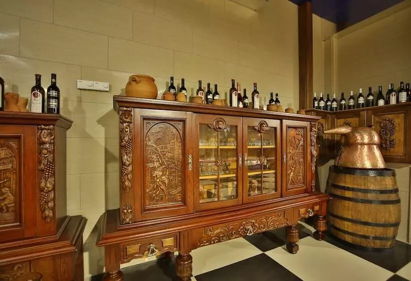 Fotos del hotel Wine Palace:  8