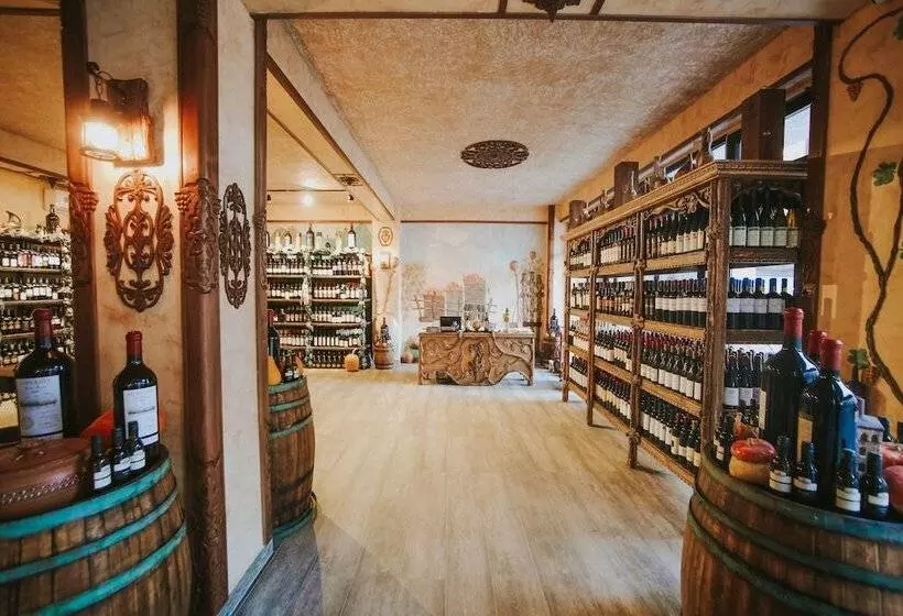 Fotos del hotel Wine Palace:  21