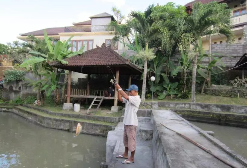Fotos del hotel Betesda Guest House:  18
