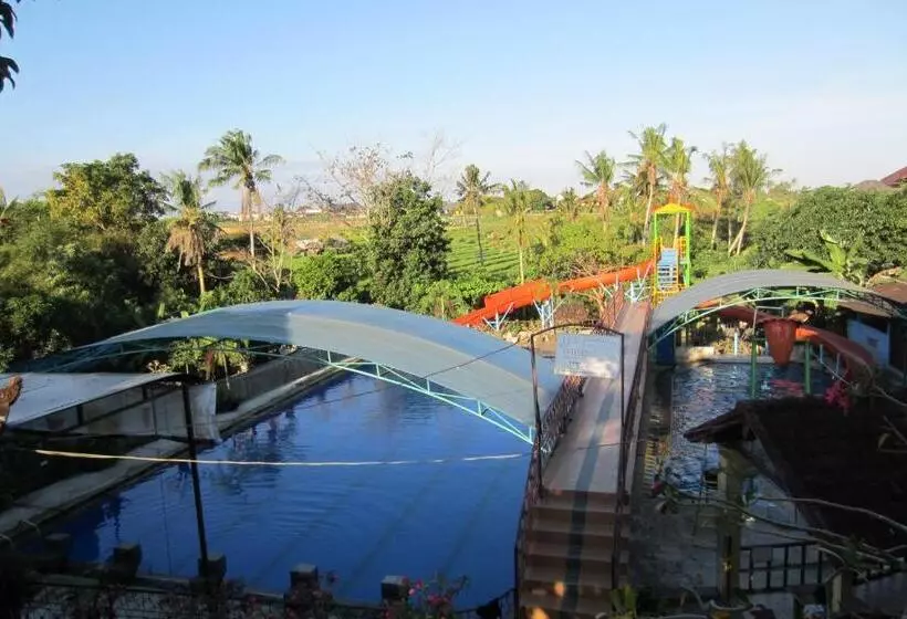 Fotos del hotel Betesda Guest House:  21