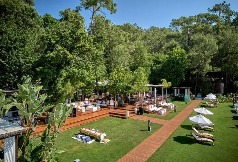 Fotos del hotel Club Prive By Rixos Gocek:  17