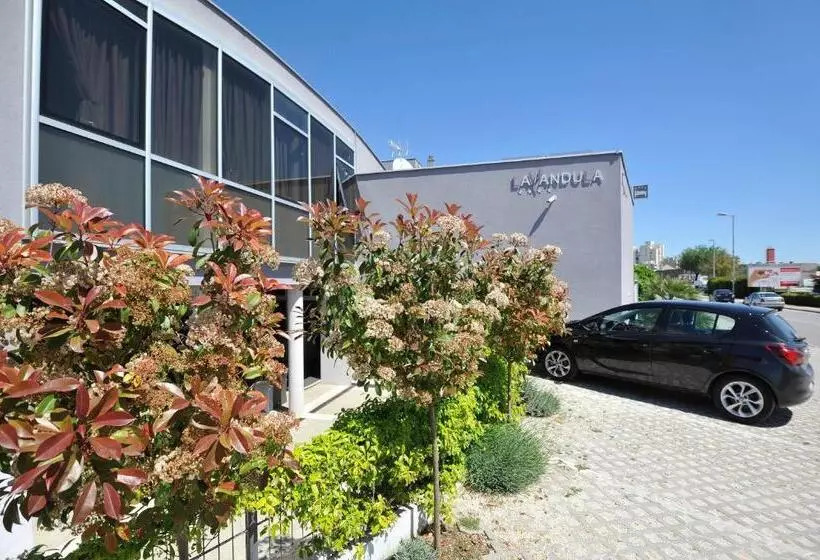 Fotos del hotel Apartments & Rooms Lavandula Exclusive:  13