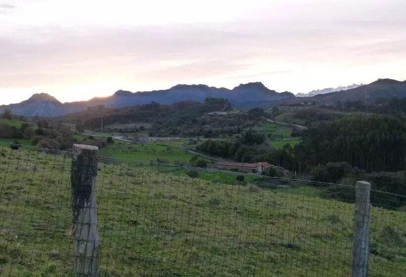 Fotos del hotel Finca Los Venancios:  2