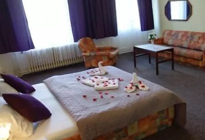 Fotos del hotel Wellness  Haná:  2
