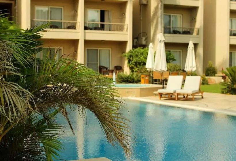 Fotos del hotel Panacea  Borg El Arab:  17