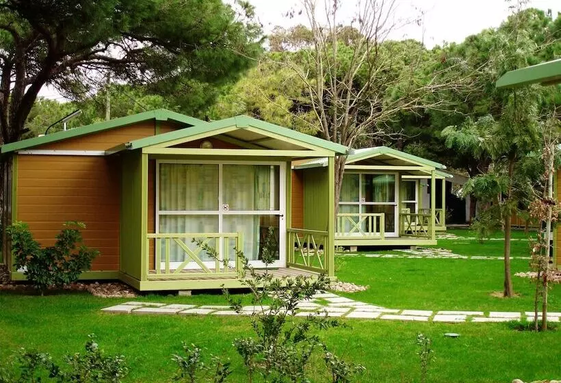 Fotos del hotel Parque De Campismo Orbitur Costa De Caparica:  19