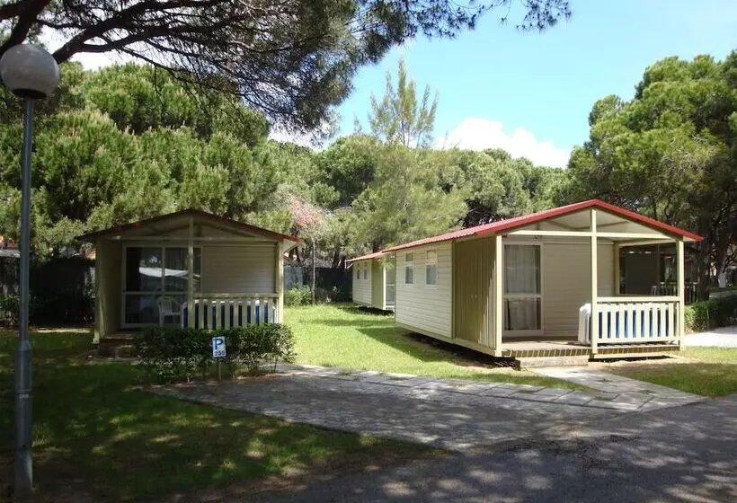 Fotos del hotel Parque De Campismo Orbitur Costa De Caparica:  23