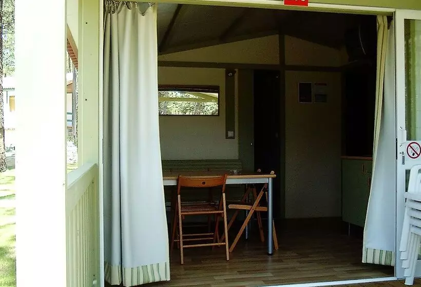 Fotos del hotel Parque De Campismo Orbitur Costa De Caparica:  14